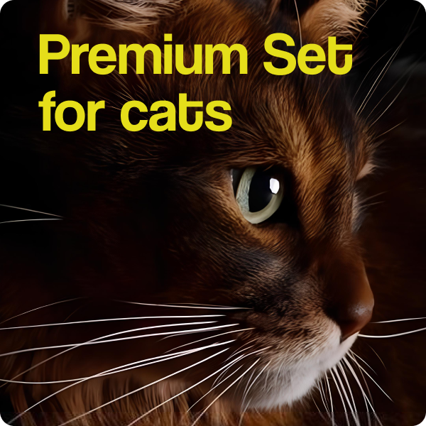 Premium Set for cats