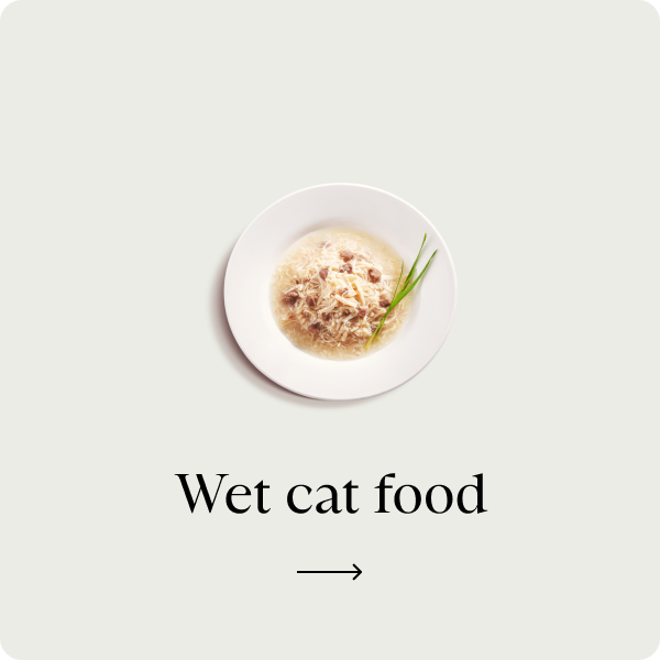 Wet cat food