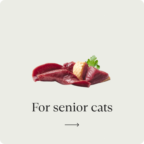 For senior cats