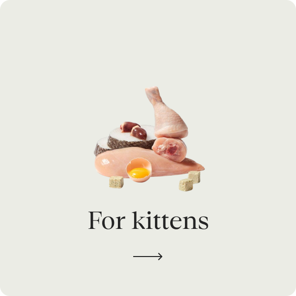 For kittens
