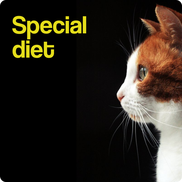 Special Diet