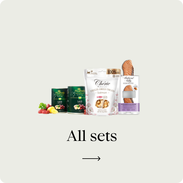 All sets dog