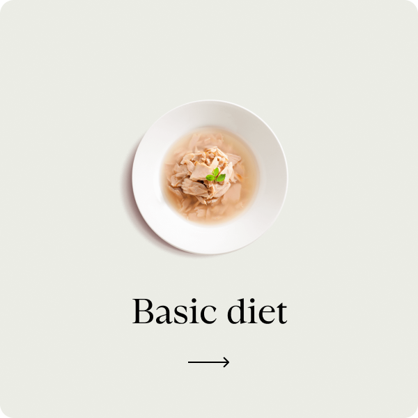 Basic Diet