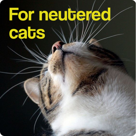 For neutered cats