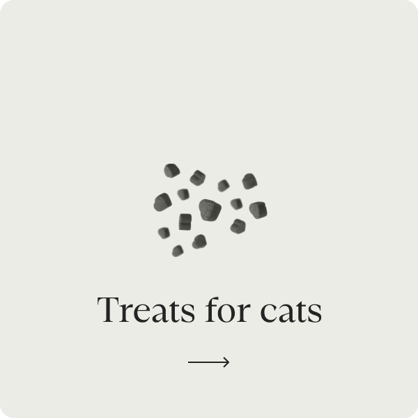 Treats for cats