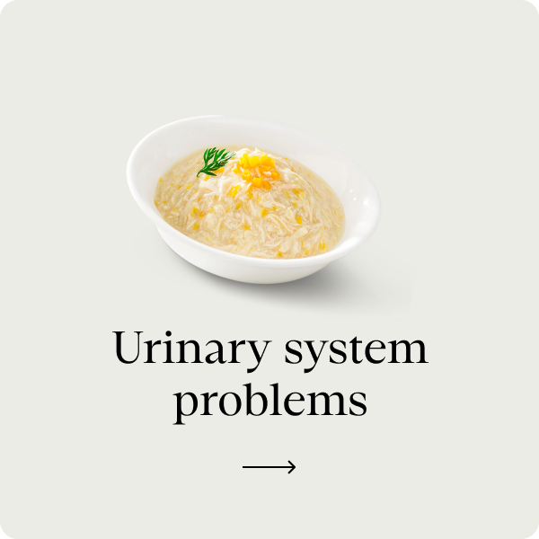 Urinary system problems
