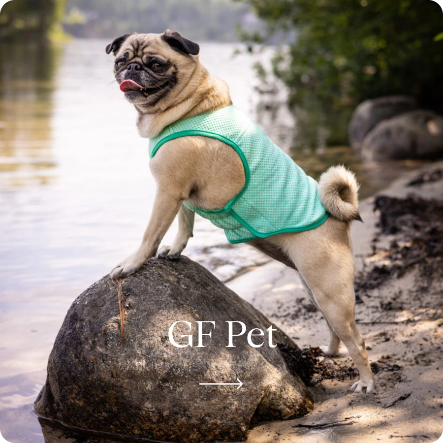 Gfpet