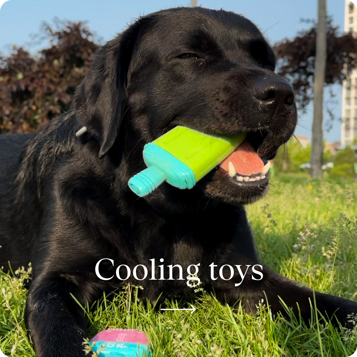 Cooling toys