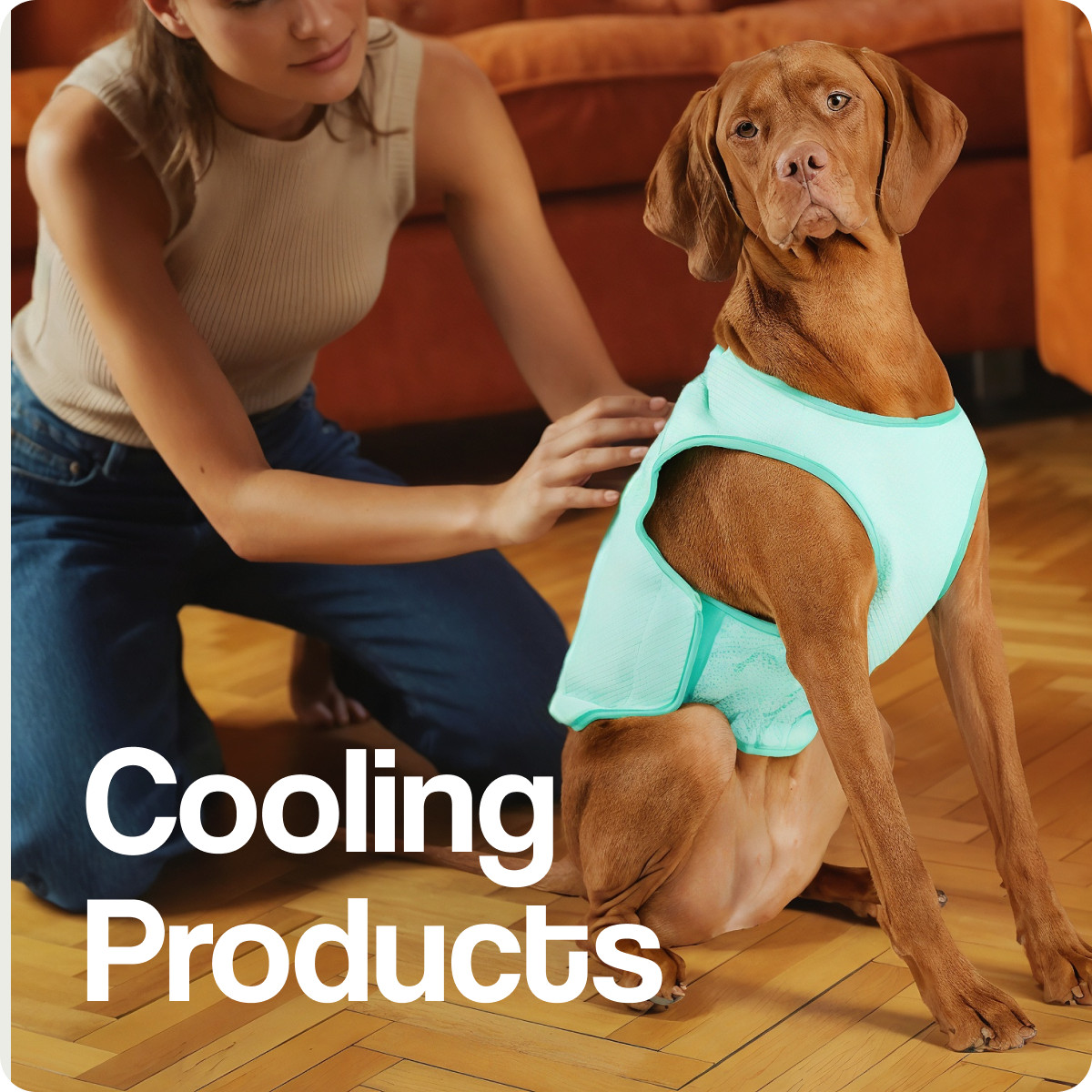 Dog Cooling Products