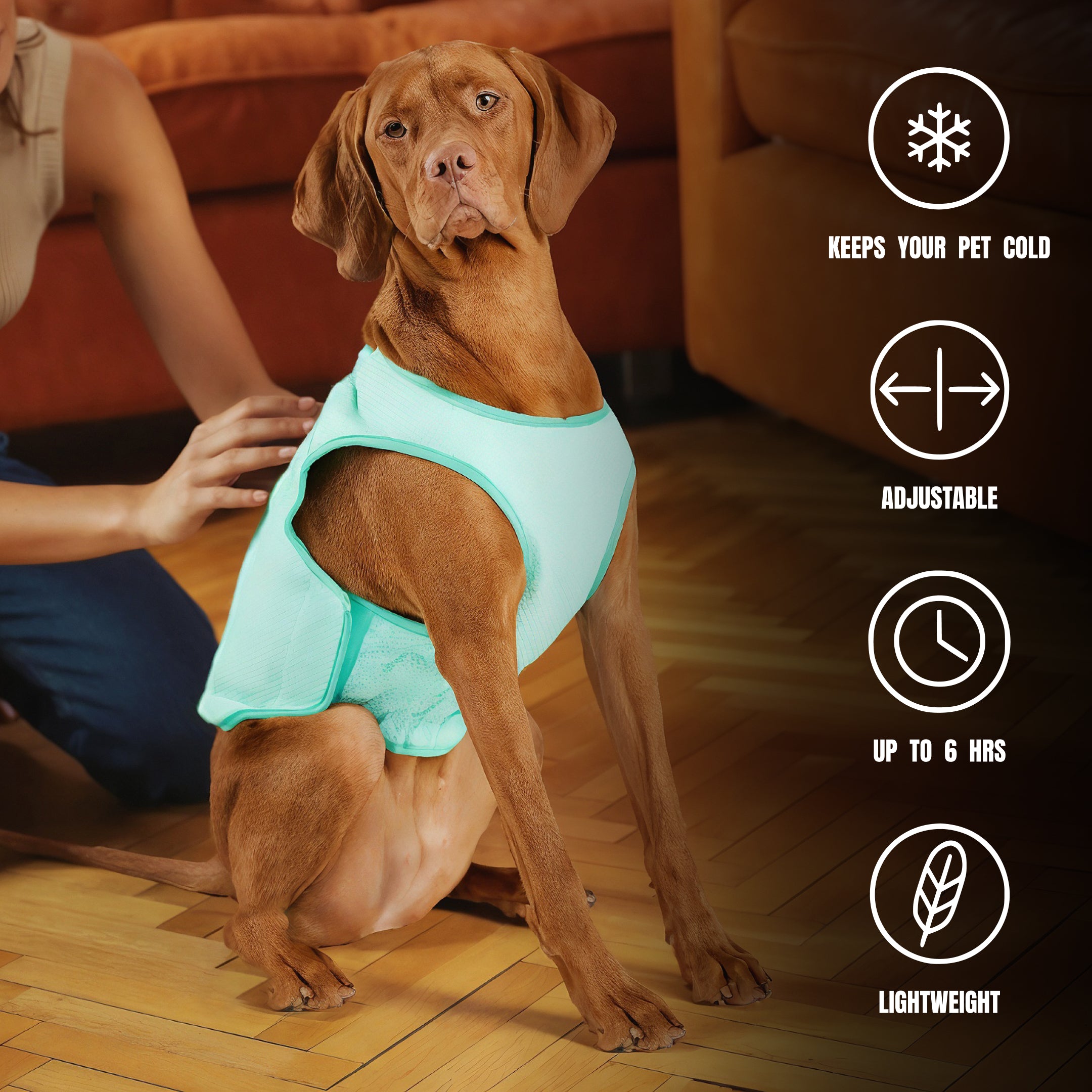 Quality Beach Cooling Set| by GF Pet of Canada | Big Dog