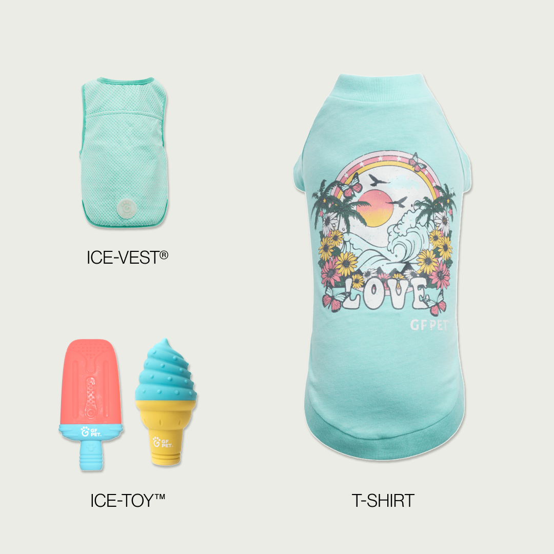 Cool & Chic | Premium Summer Cooling Set | Medium Dog