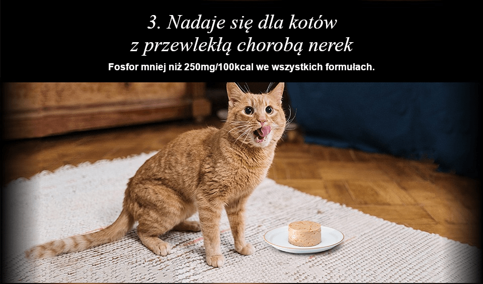 Chérie Healthy Living Diet Chicken & pumpkin mousse 80g.