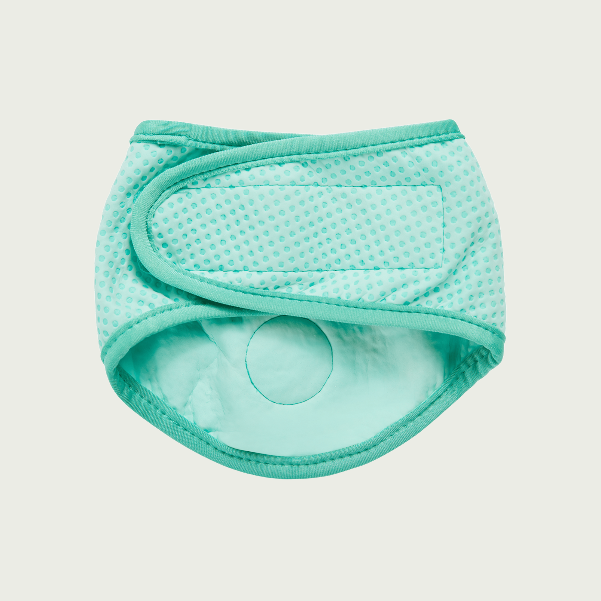 Dog Cooling Ice Band® | GF Pet of Canada | Crystal Aqua
