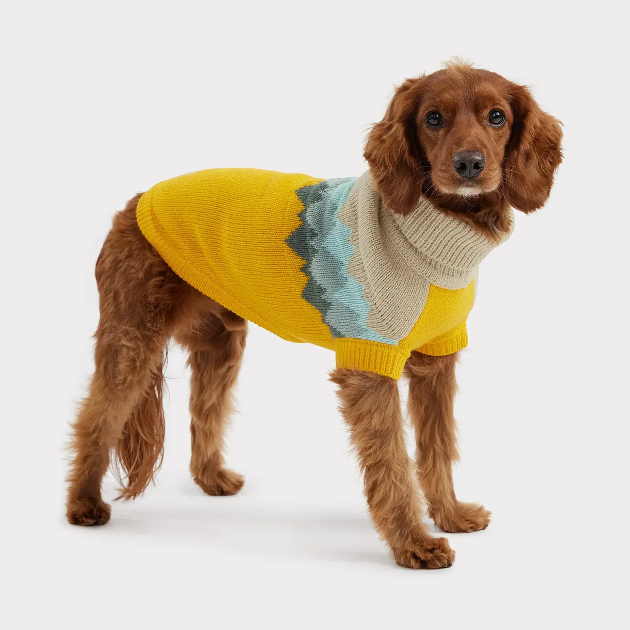 GF Pet Fireside Dog Sweater | Cozy Knit Pullover with Vintage Charm