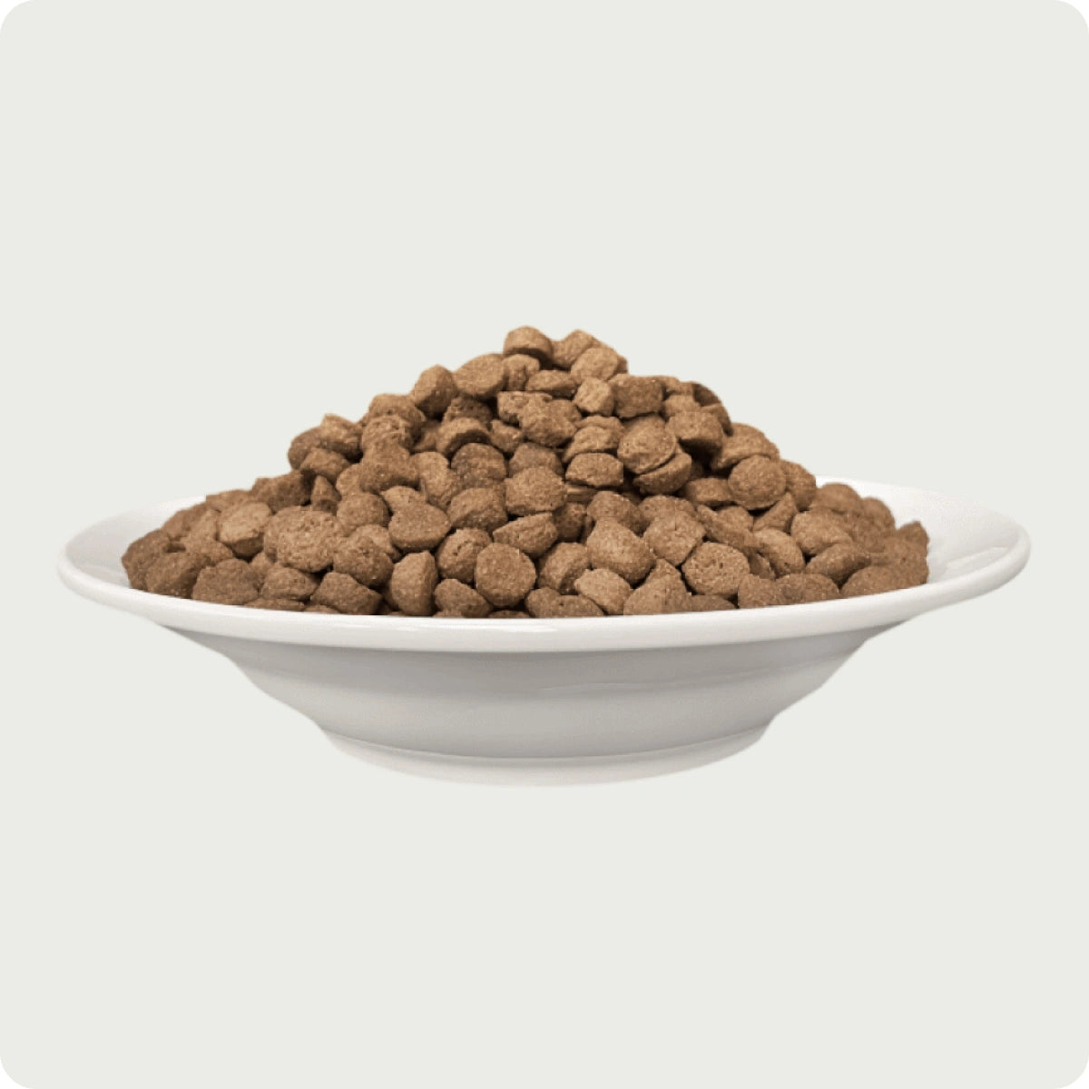 Chérie Dry Food Grain-Free Turkey Entrées 400g. + Free 1 Fillet