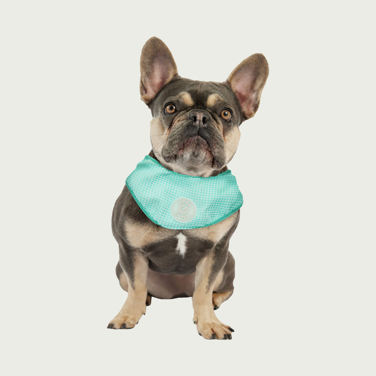 Dog Cooling Ice Band® | GF Pet of Canada | Crystal Aqua