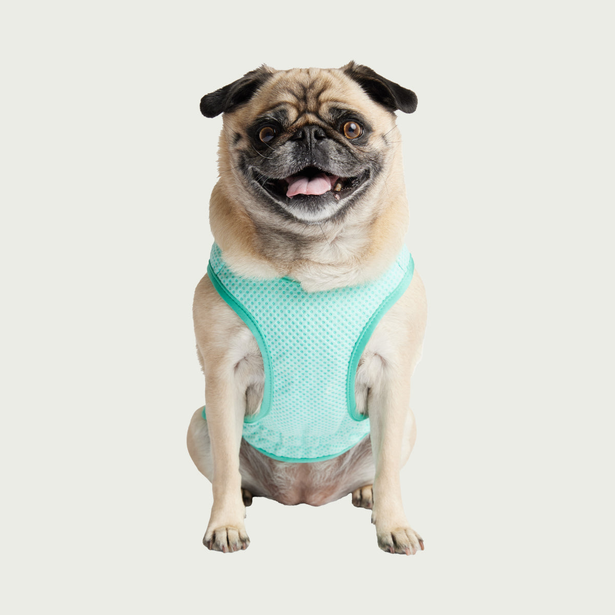 Dog Cooling Ice Vest® | Aqua