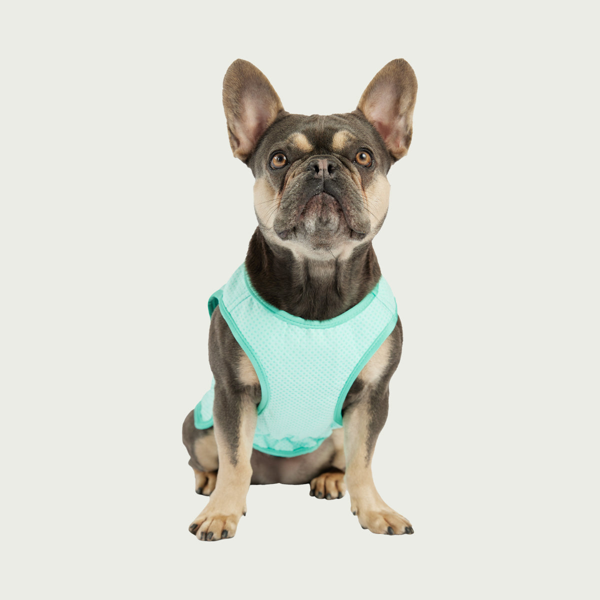 Dog Cooling Ice Vest® | GF Pet of Canada | Light Aqua