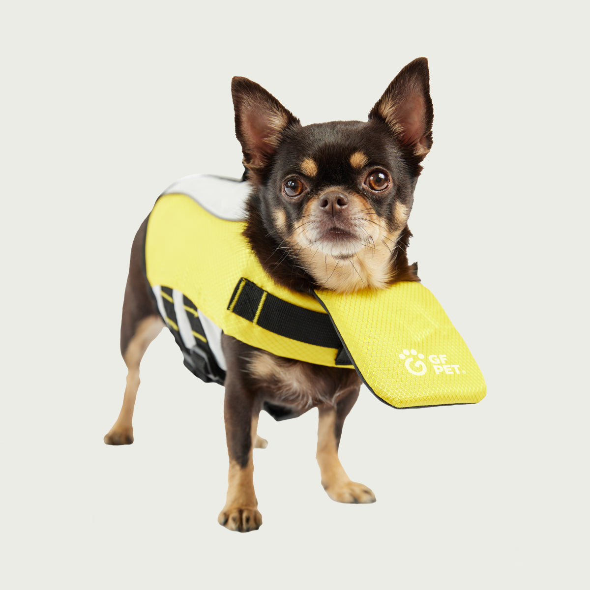 Giubbotto di Salvataggio per Cani | GF Pet Canada | Giallo
