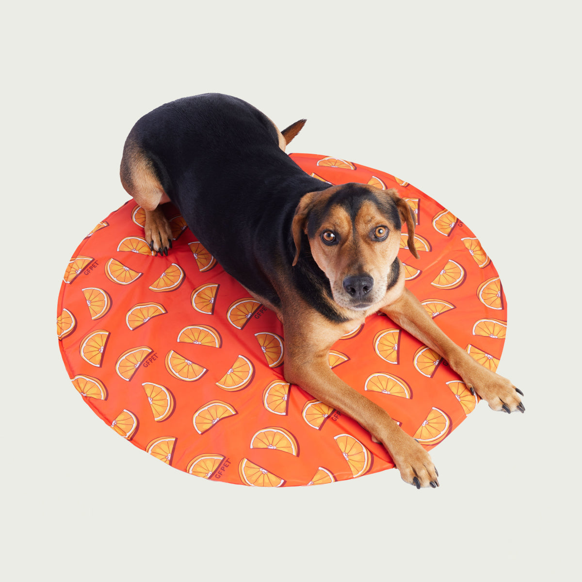 Dog Colling Ice Mat® | GF Pet of Canada | Mix Colour