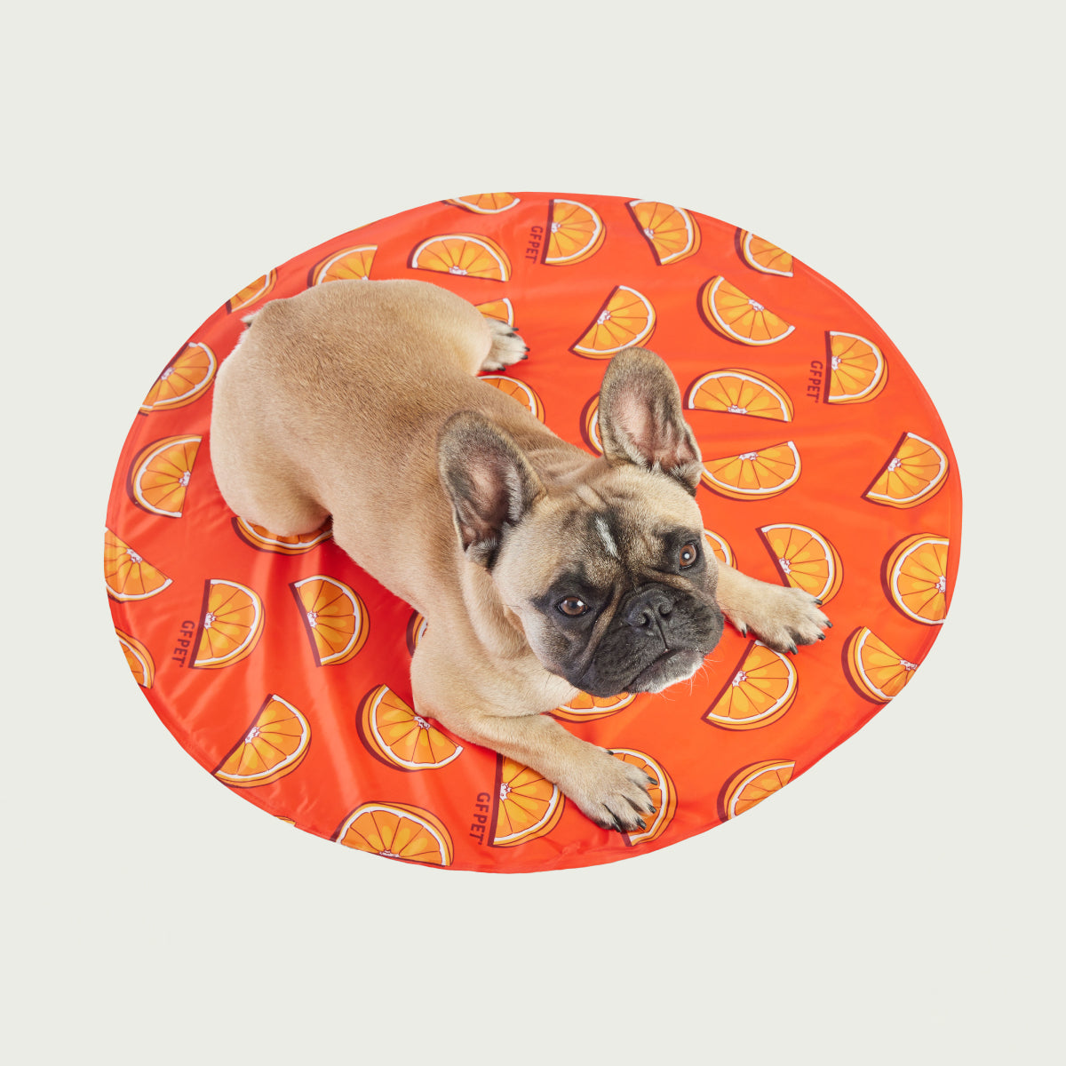 Dog Colling Ice Mat® | GF Pet of Canada | Mix Colour