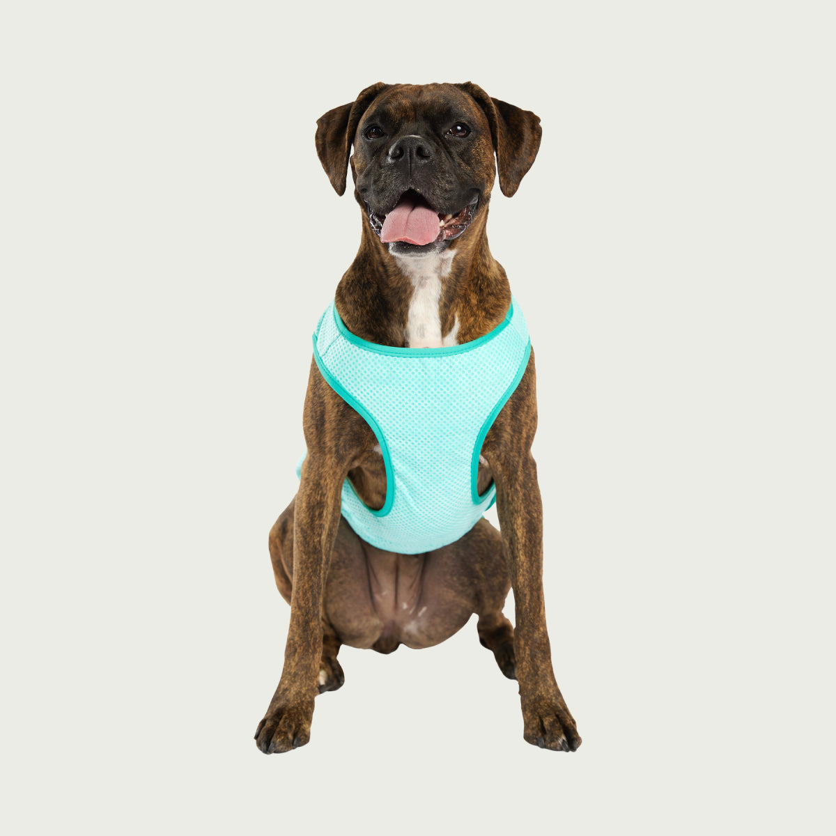 Dog Cooling Ice Vest® | Aqua