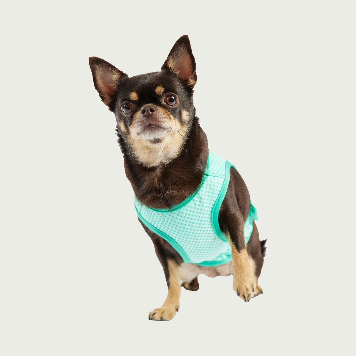 Dog Cooling Ice Vest® | Aqua