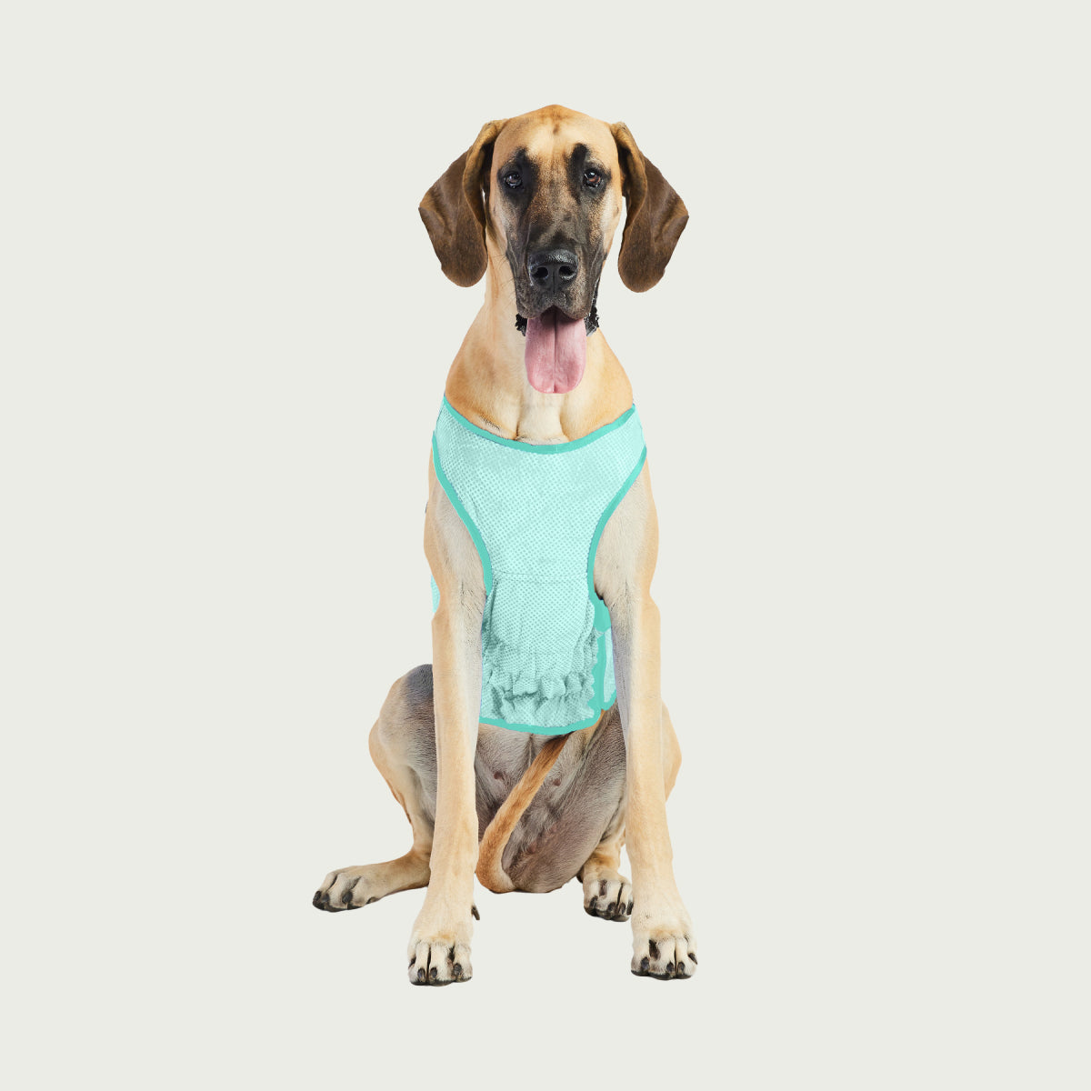 Dog Cooling Ice Vest® | Aqua