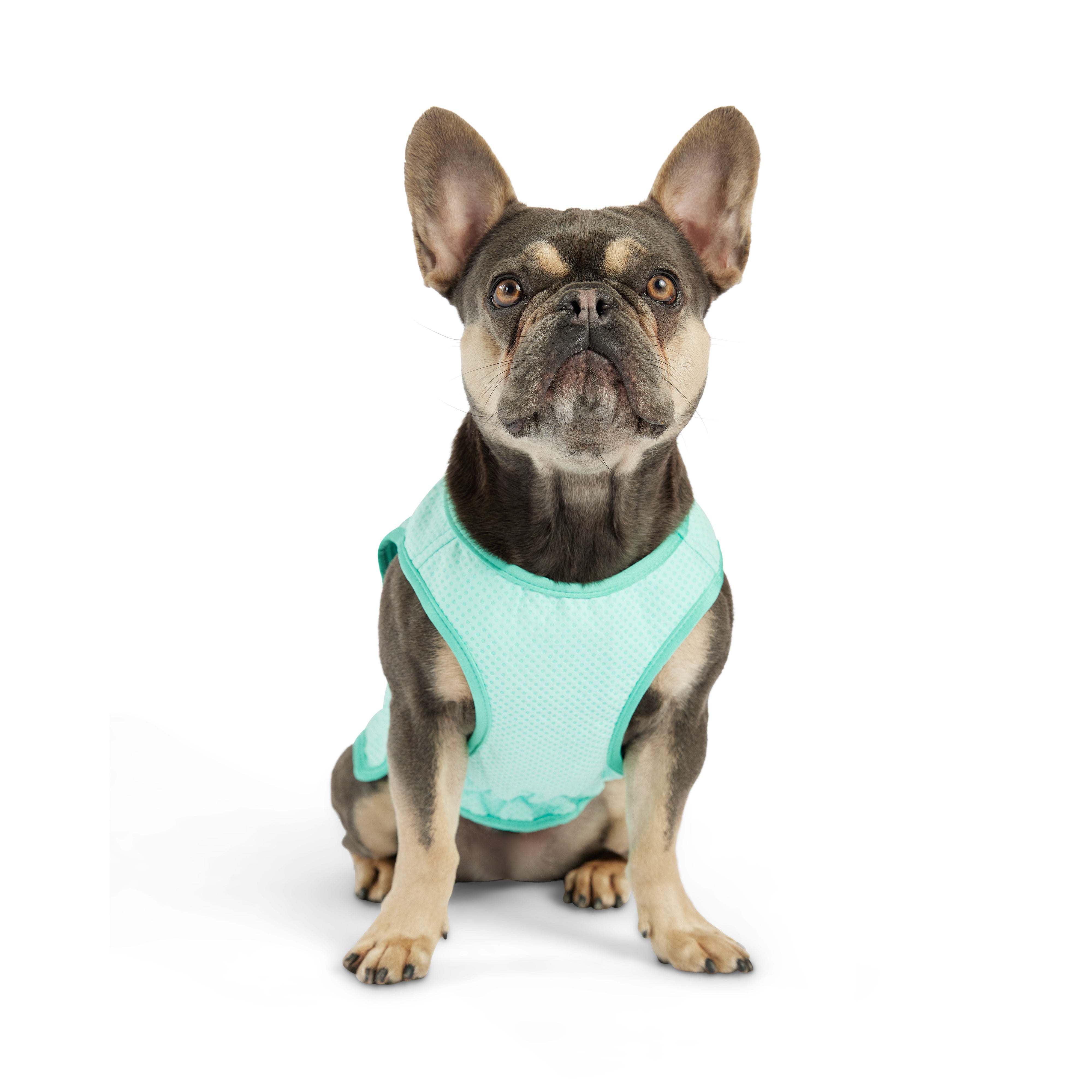 Dog Cooling Ice Vest® | Aqua