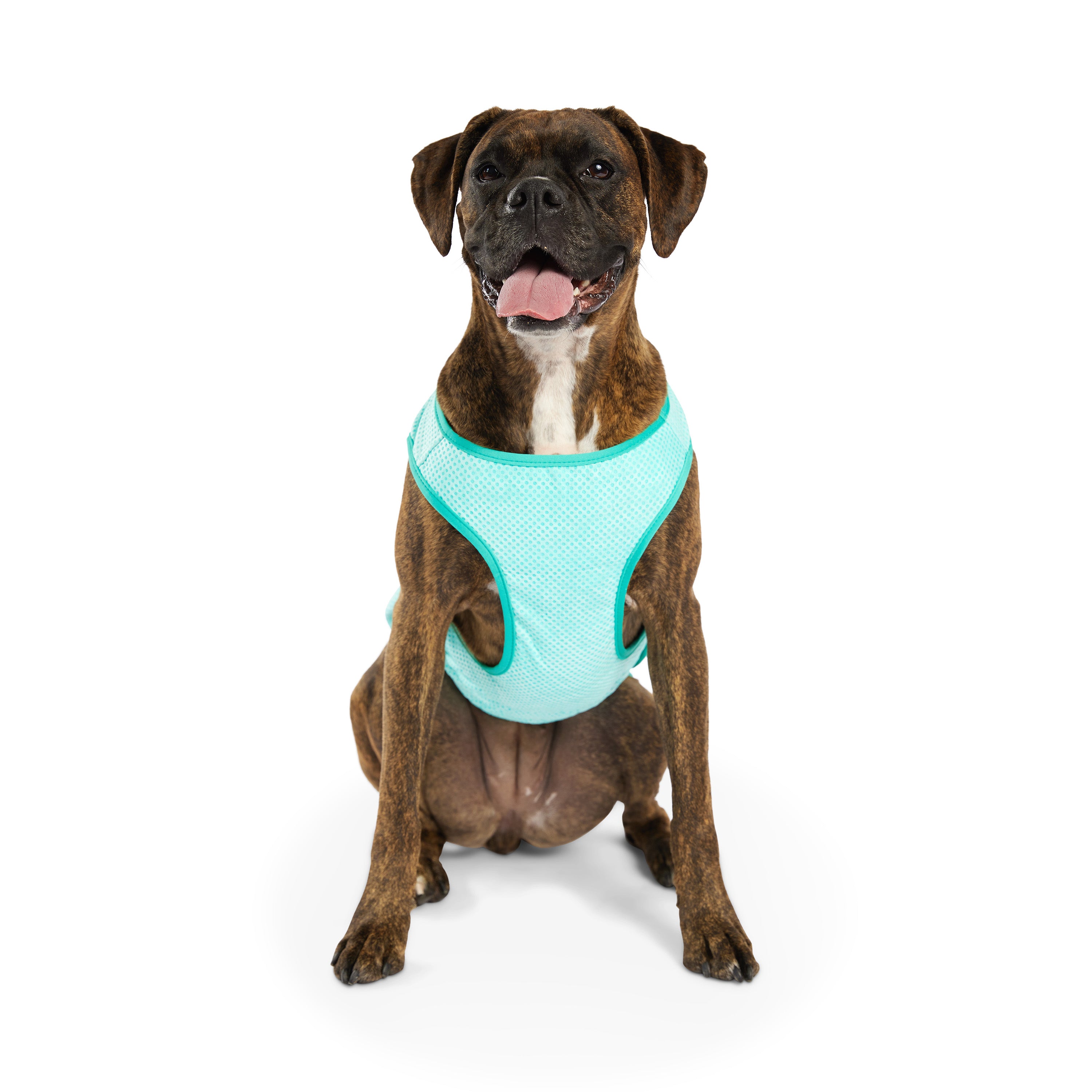 Dog Cooling Ice Vest® | Aqua