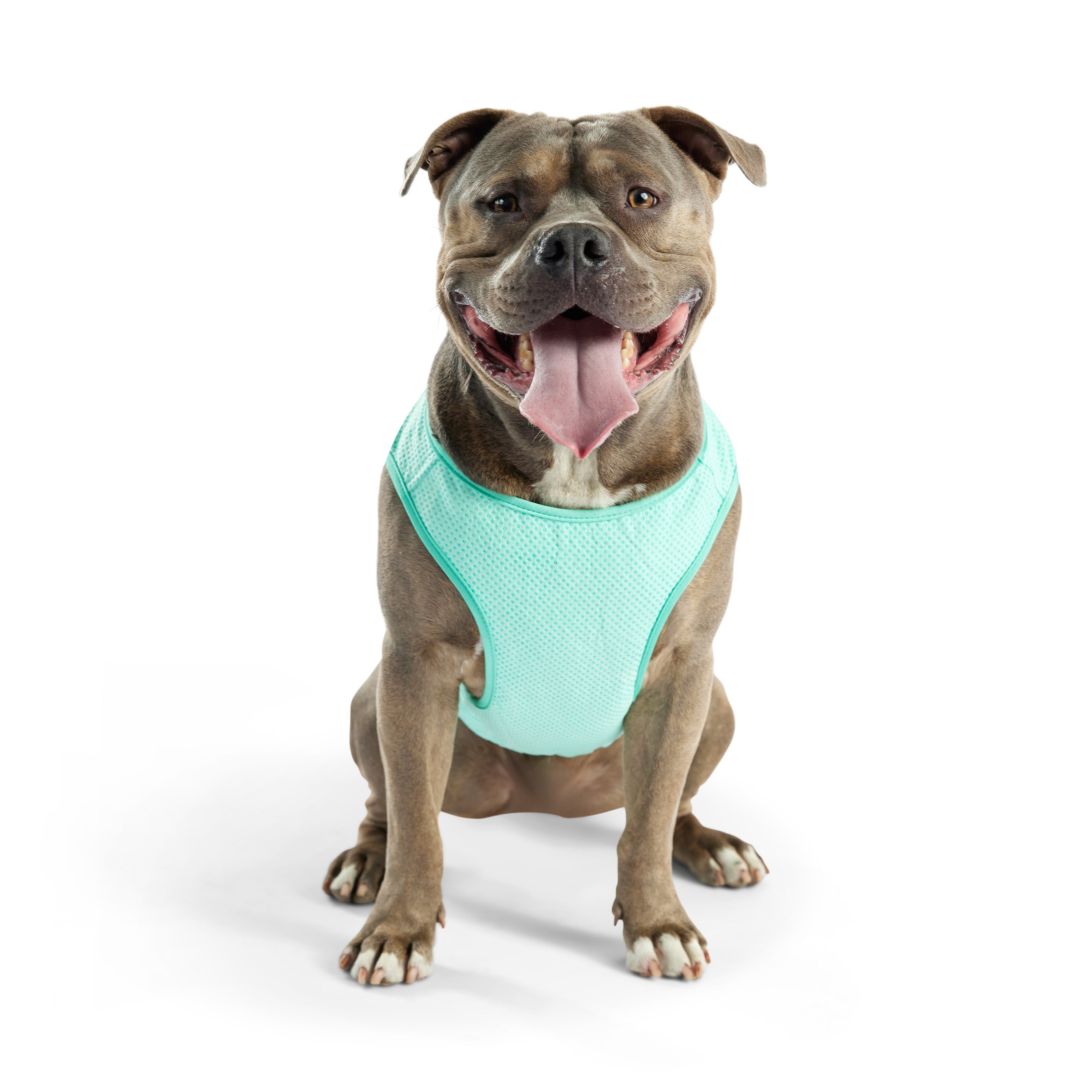Dog Cooling Ice Vest® | Aqua