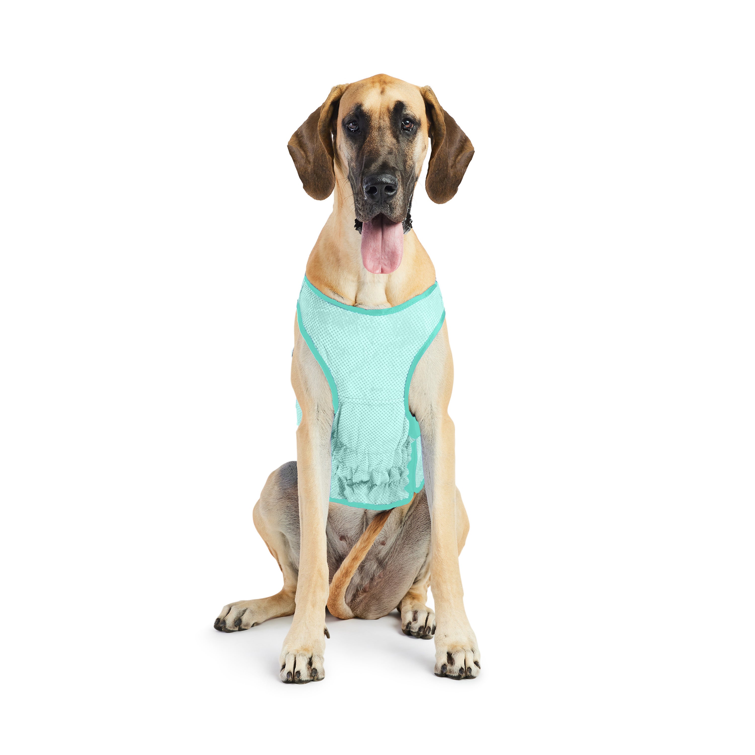 Dog Cooling Ice Vest® | Aqua