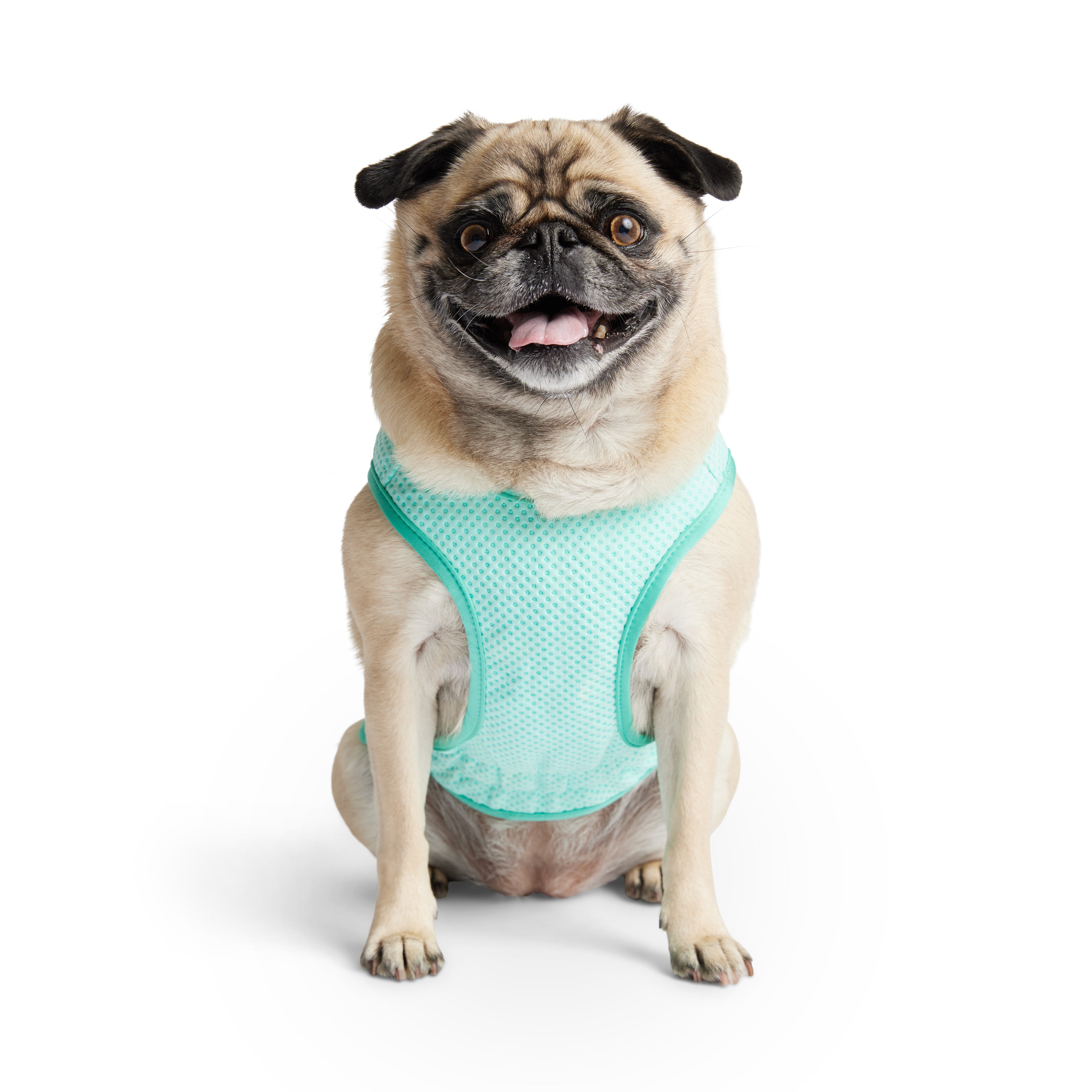 Dog Cooling Ice Vest® | Aqua