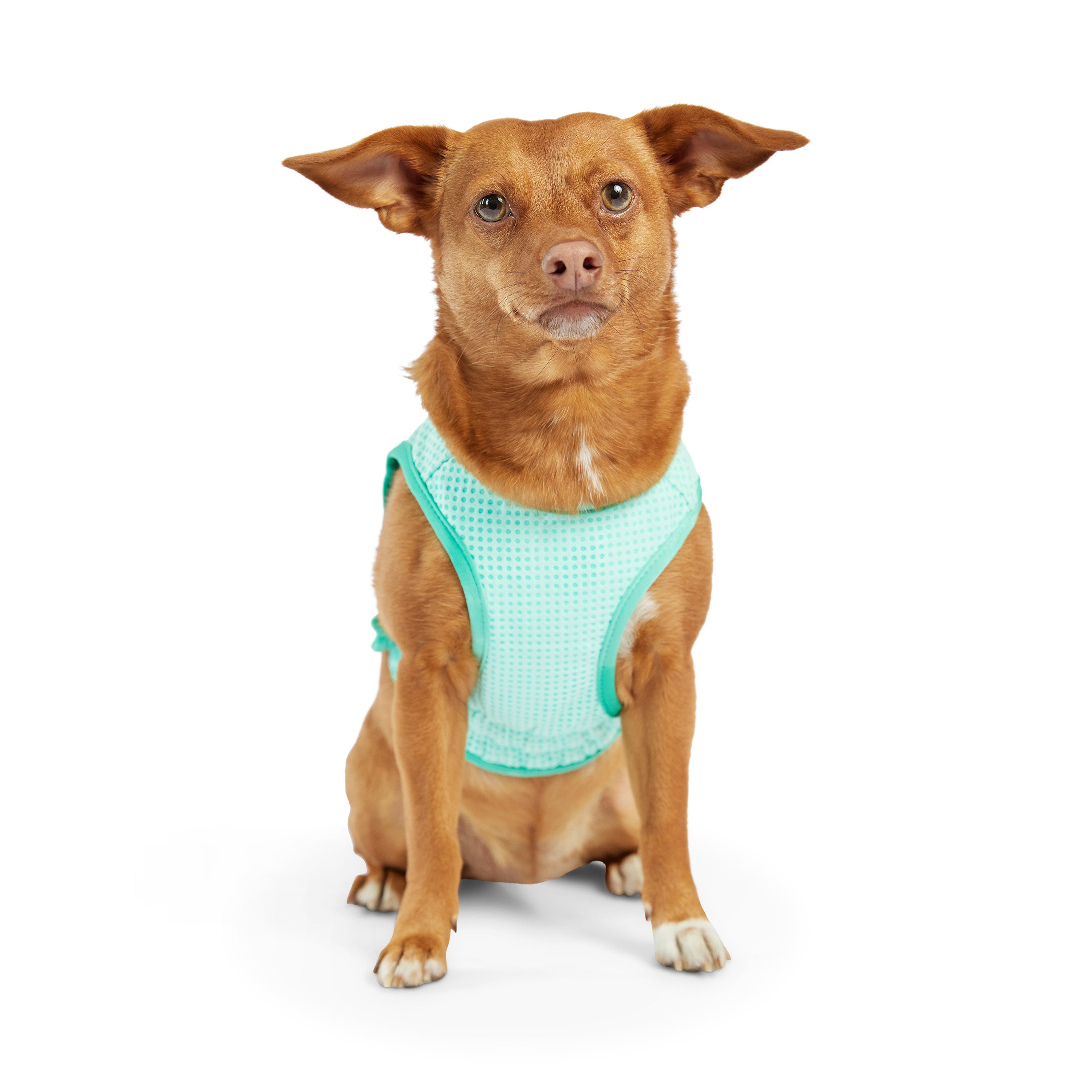 Dog Cooling Ice Vest® | Aqua