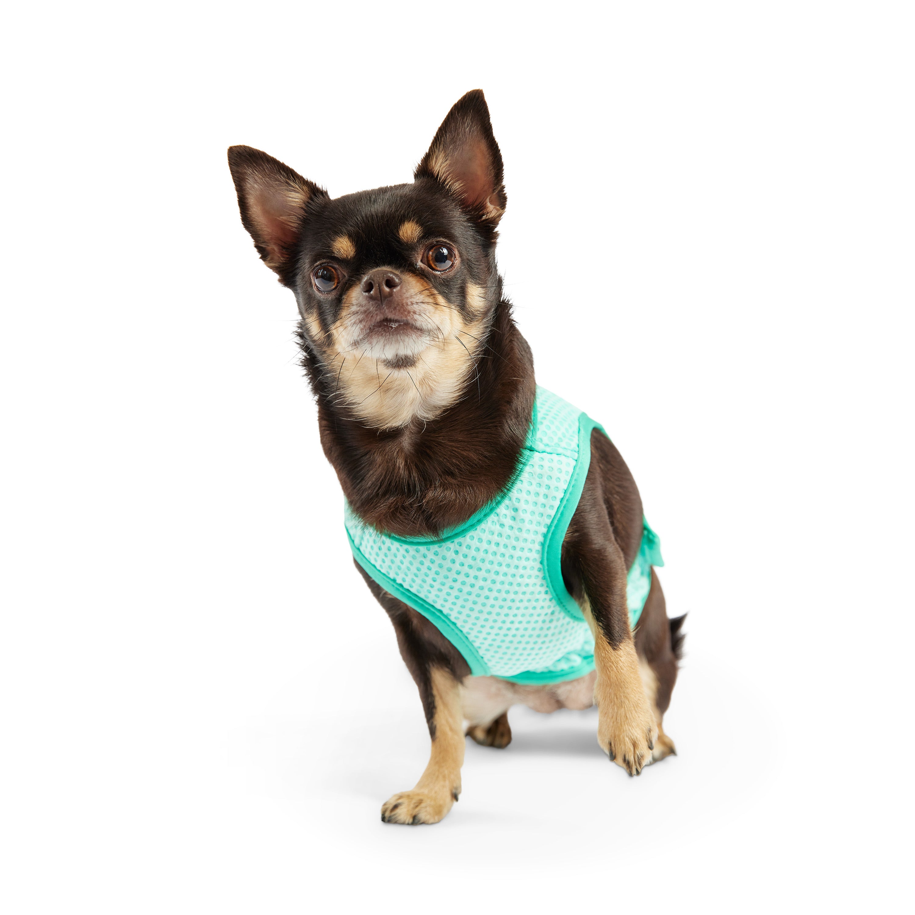 Dog Cooling Ice Vest® | Aqua