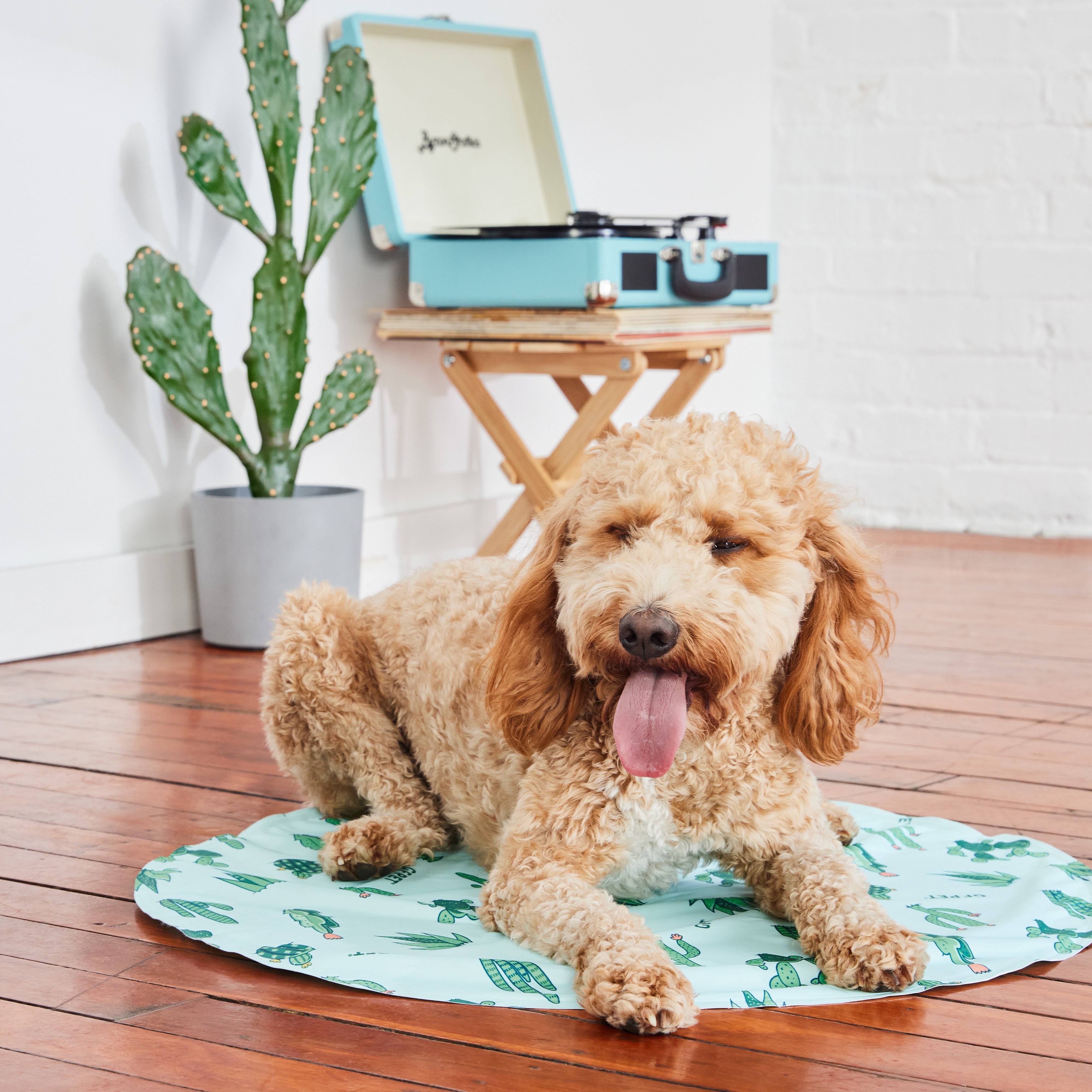 GF Pet Ice Cooling Mat | No Ice, No Refrigeration