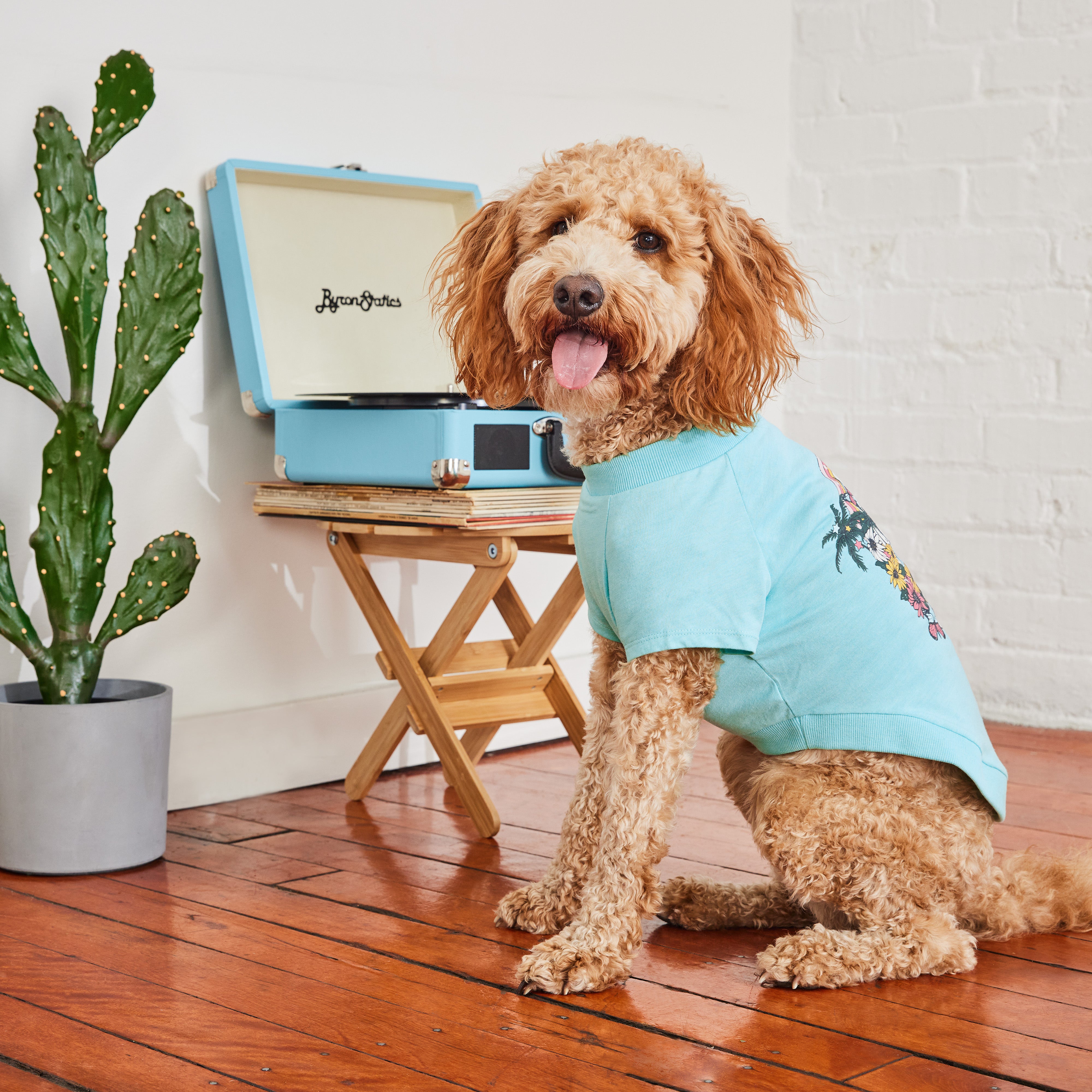 Cool & Chic | Premium Summer Cooling Set | Medium Dog