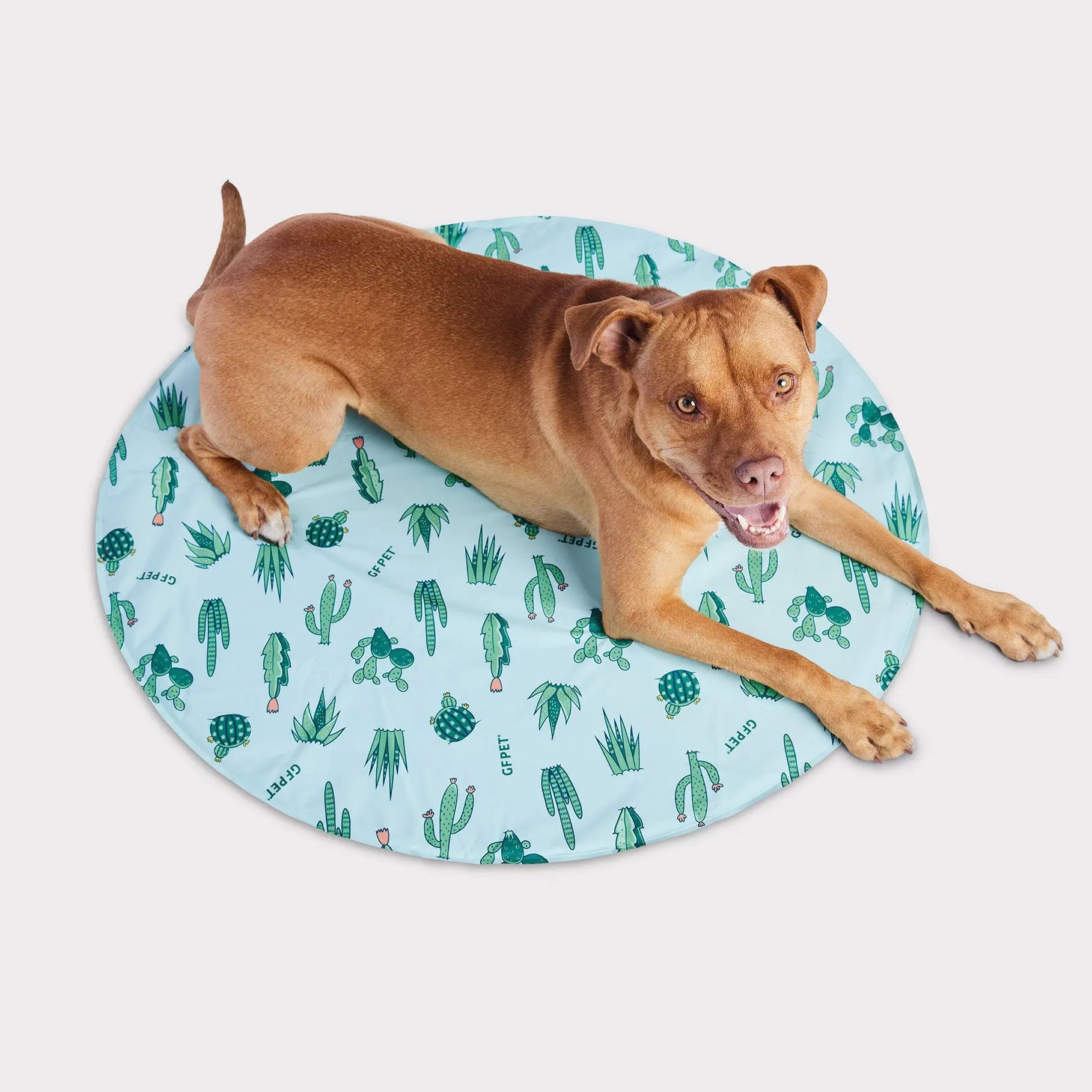 GF Pet Ice Cooling Mat | No Ice, No Refrigeration