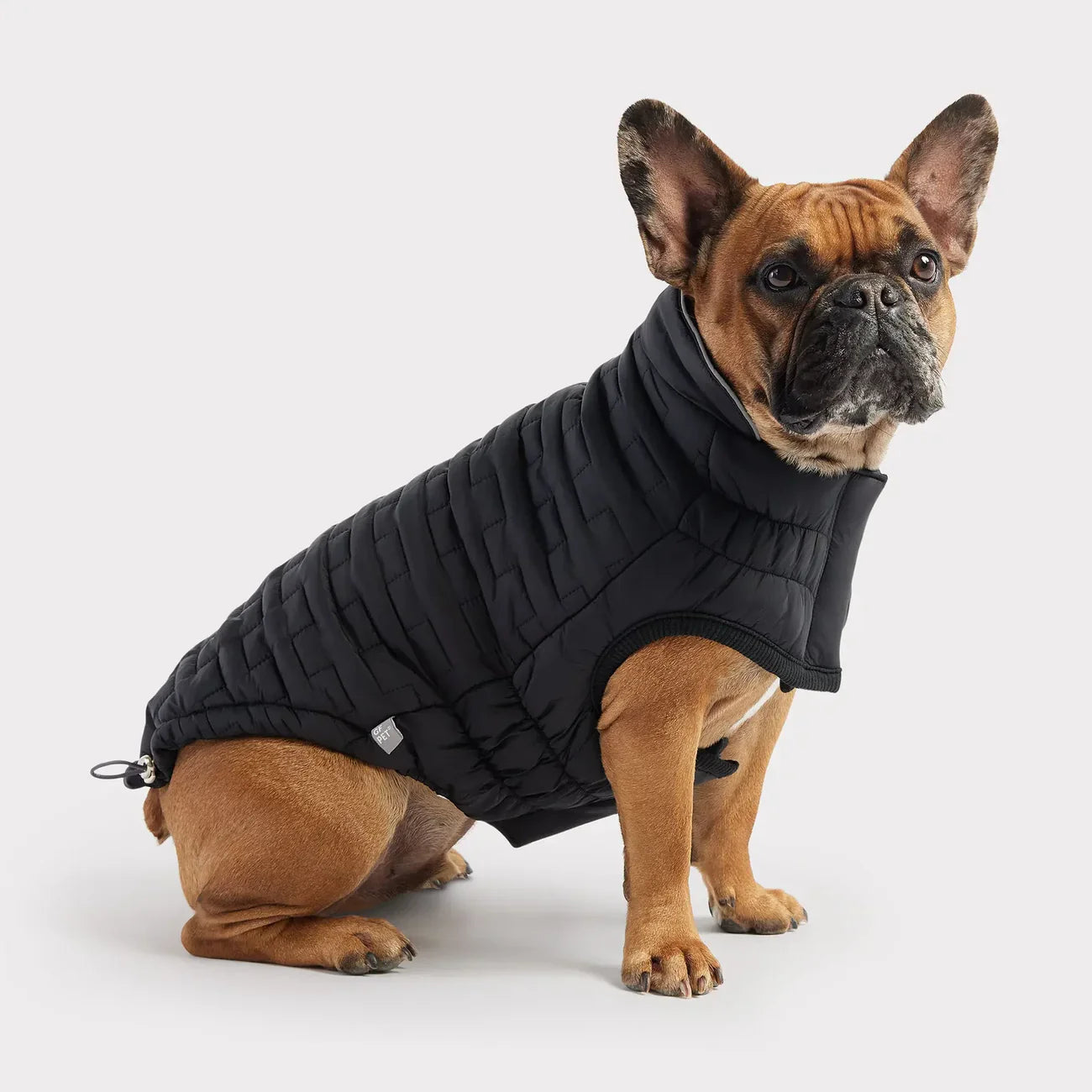 GF Pet Reversible Chalet Jacket | Elasto-Fit® Winter Dog Coat