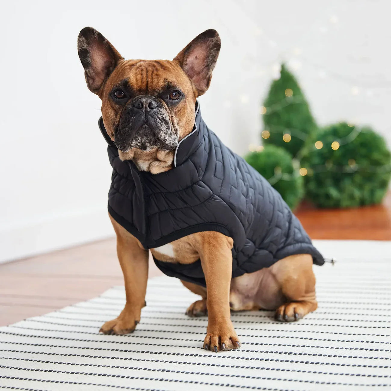 GF Pet Reversible Chalet Jacket | Elasto-Fit® Winter Dog Coat