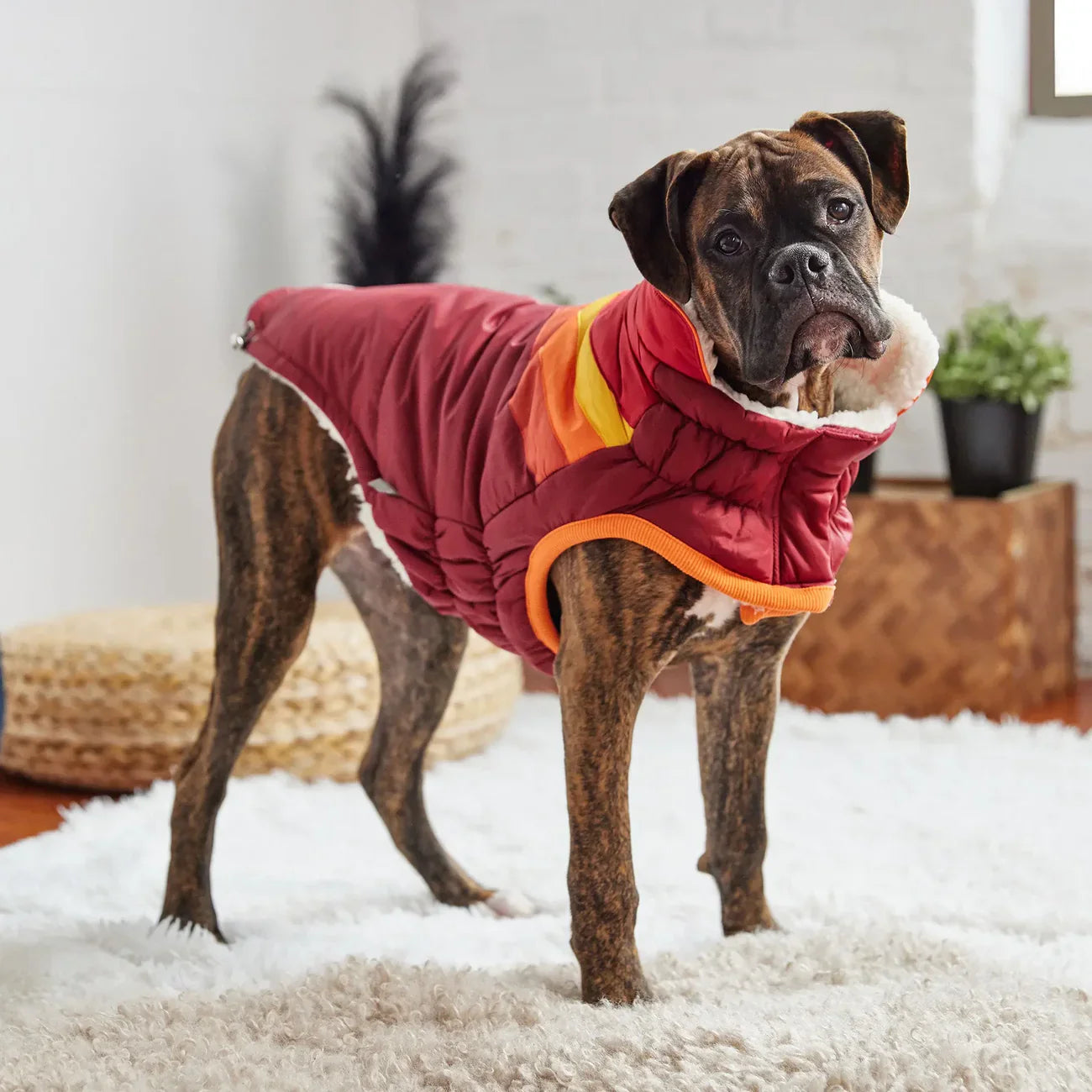 GF Pet Winter Dog Coat | Elasto-Fit® Warm & Water-Resistant Jacket