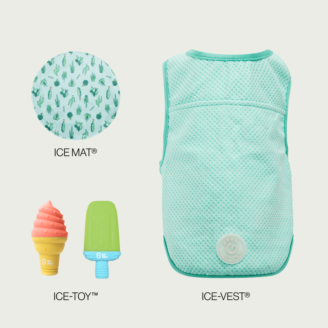 Summer Cooling Set | Small Dog