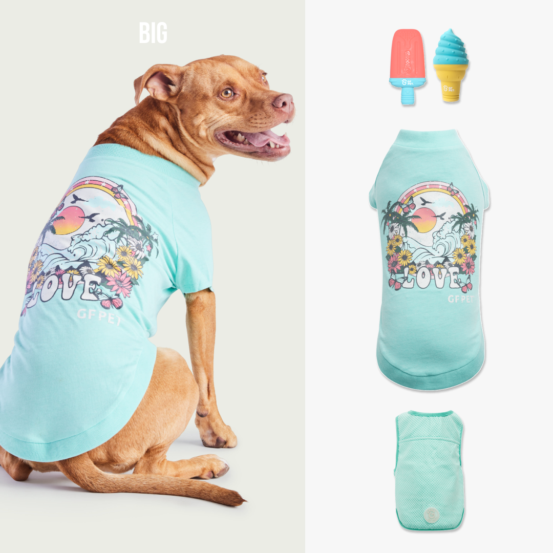 Cool & Chic | Premium Summer Cooling Set | Big Dog