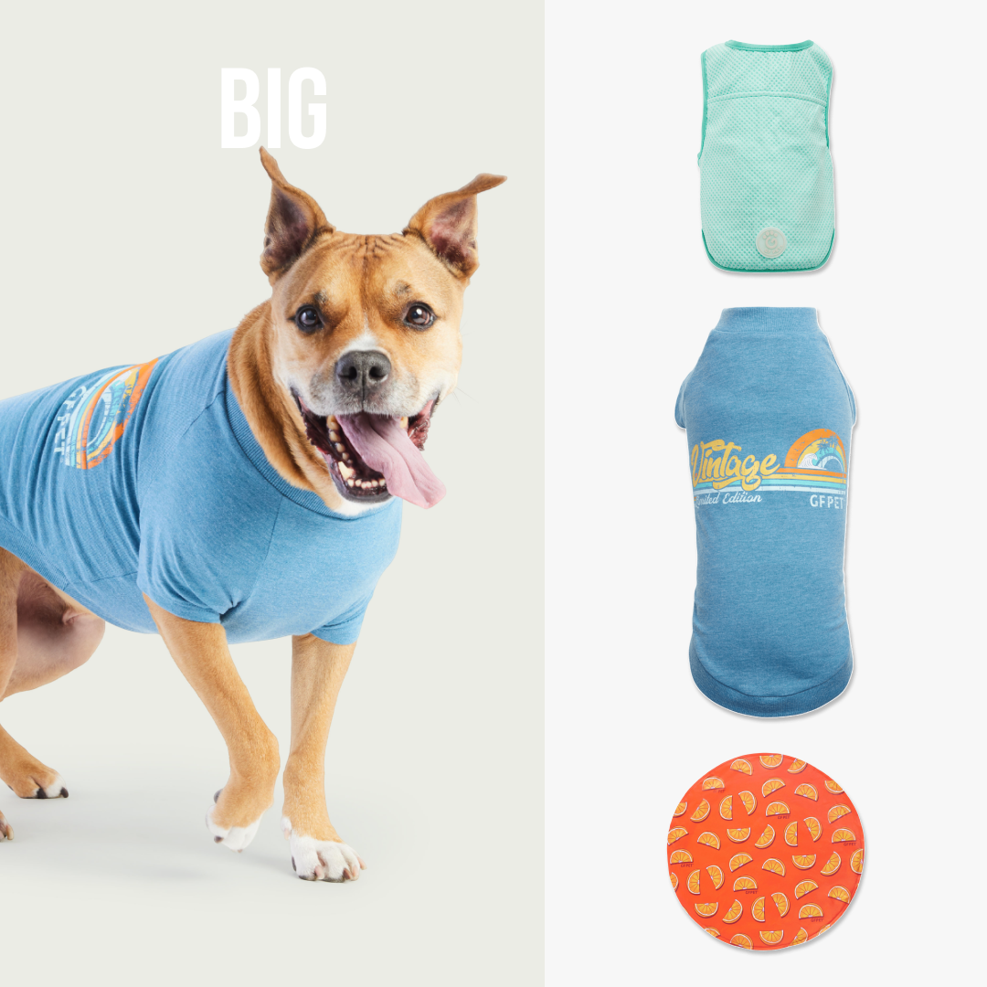 Cooling Pup Cruise Kit | Big Dog