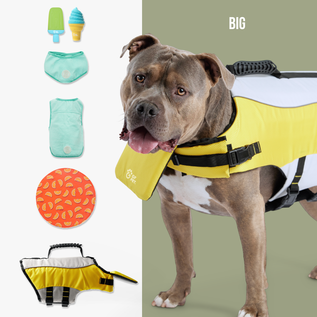 GF-Pet - Full summer cooling package | Big Dog
