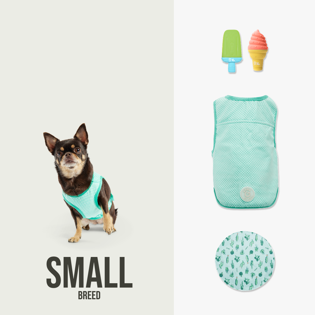 Summer Cooling Set | Small Dog