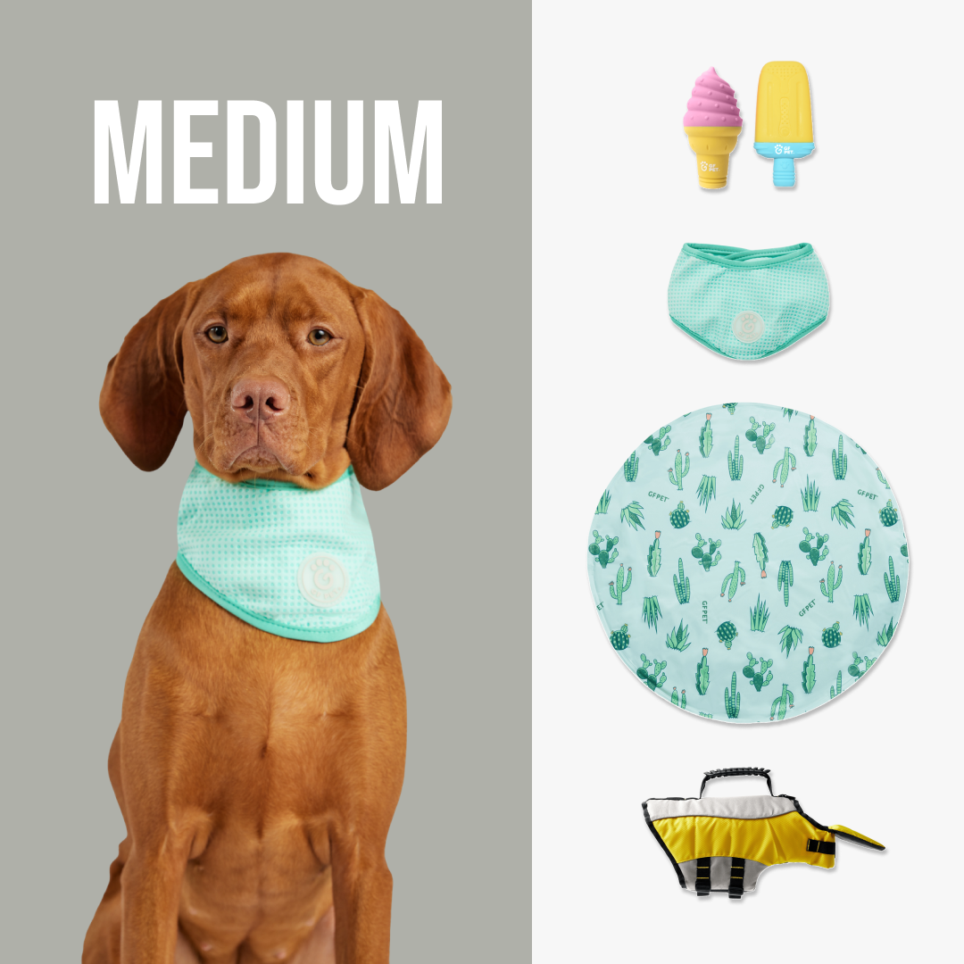 GF-Pet - Beach Buddy Cooling Set | Medium Dog