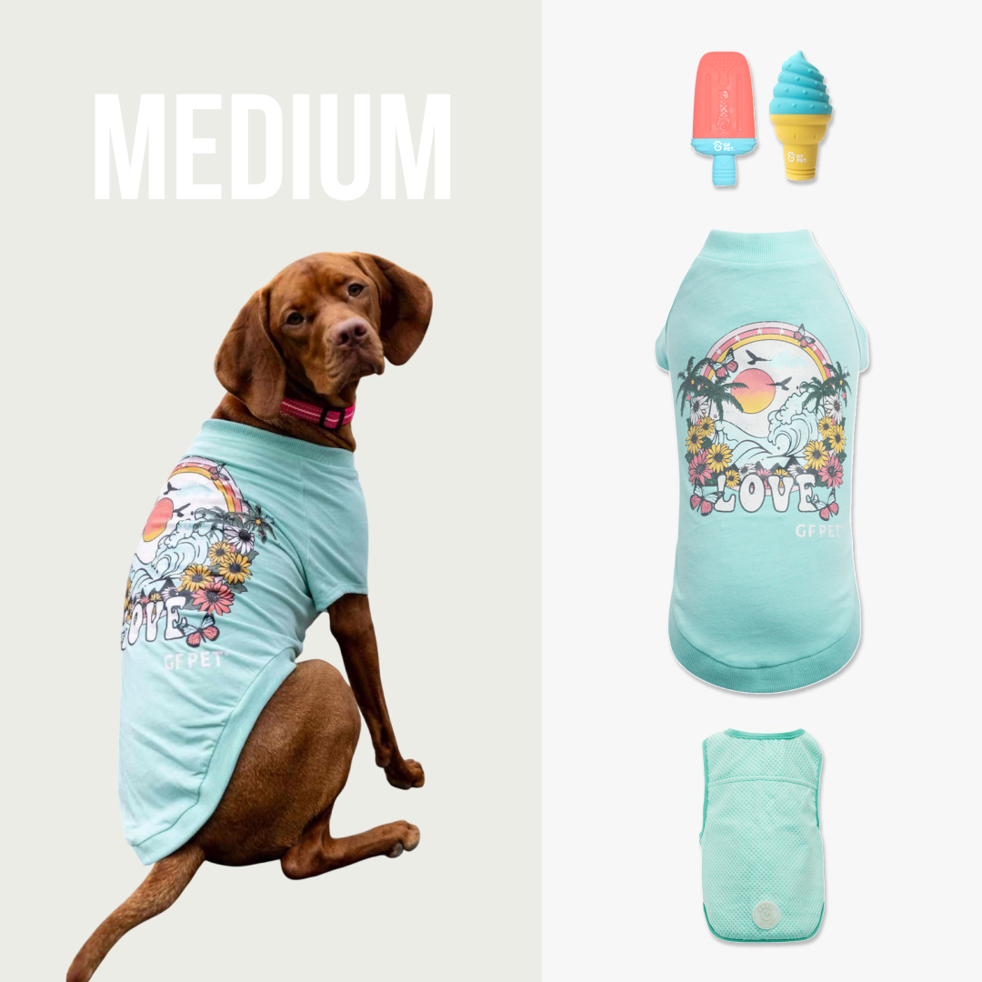 Cool & Chic | Premium Summer Cooling Set | Medium Dog