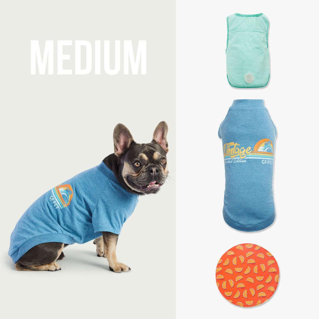 Cooling Pup Cruise Kit | Medium Dog