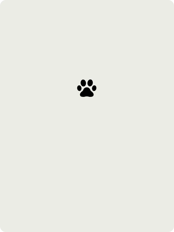 Blog Preview